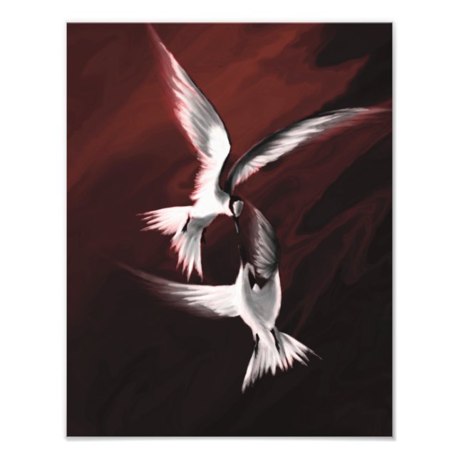 Crimson Skies Photo Print (Front)