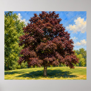 Crimson Tree Beneath Blue Skies Botanical Art Poster