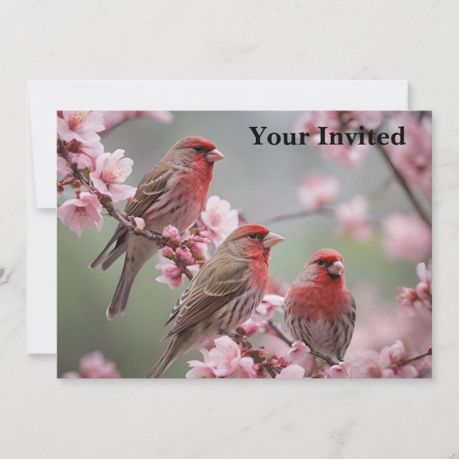 "Crimson Trio: Red Finches Amidst Pink Blooms" Invitation (Front)