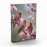 "Crimson Trio: Red Finches Amidst Pink Blooms"