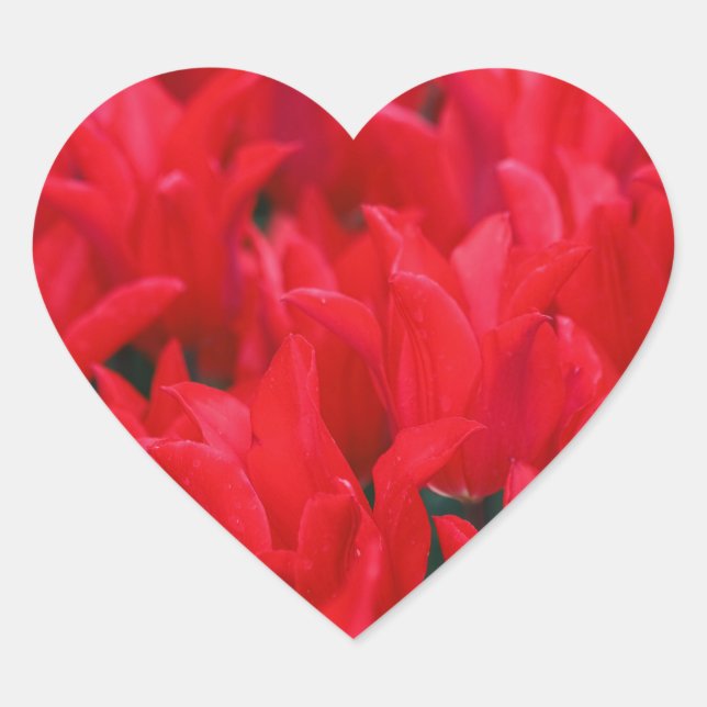 Crimson Waves  Heart Sticker (Front)