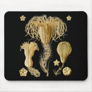 Crinoids Mouse Pad