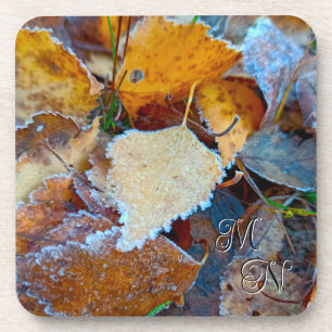 Crisp Autumn Frost Fallen Leaves Botanical Coaster