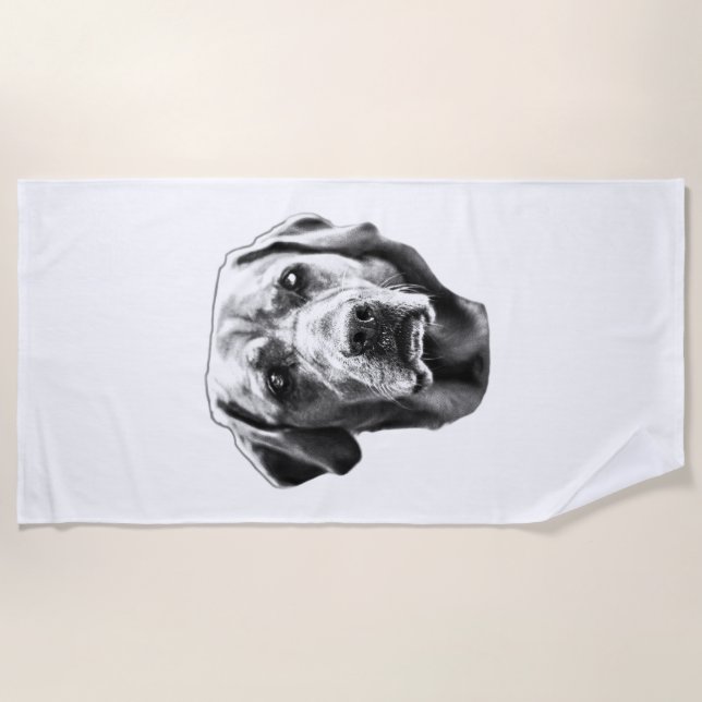 Crisp Night Sentinel Beach Towel (Front)