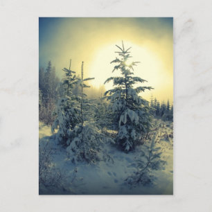 Crisp Winter Morning Postcard