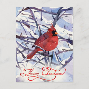 Cristmas postcard