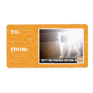 Critical Mass Kitty