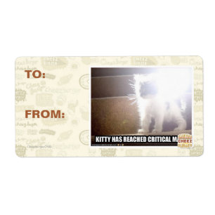 Critical Mass Kitty