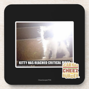 Critical Mass Kitty Coaster