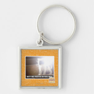 Critical Mass Kitty Key Ring
