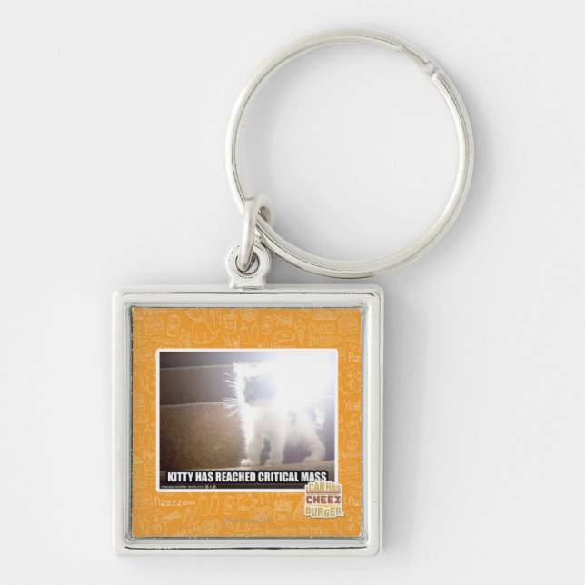 Critical Mass Kitty Key Ring (Front)