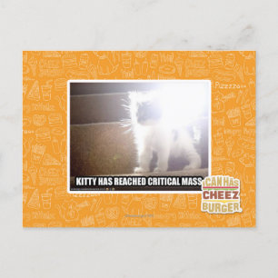 Critical Mass Kitty Postcard