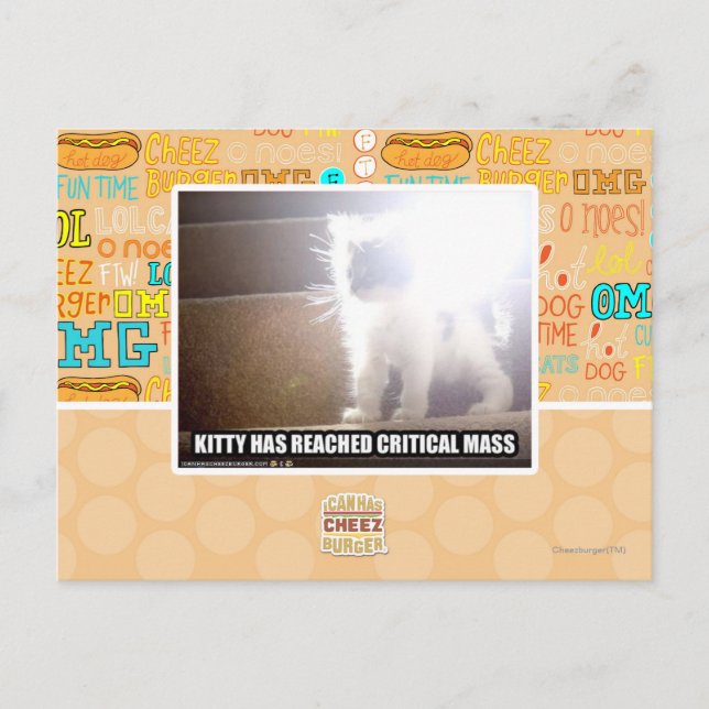 Critical Mass Kitty Postcard (Front)