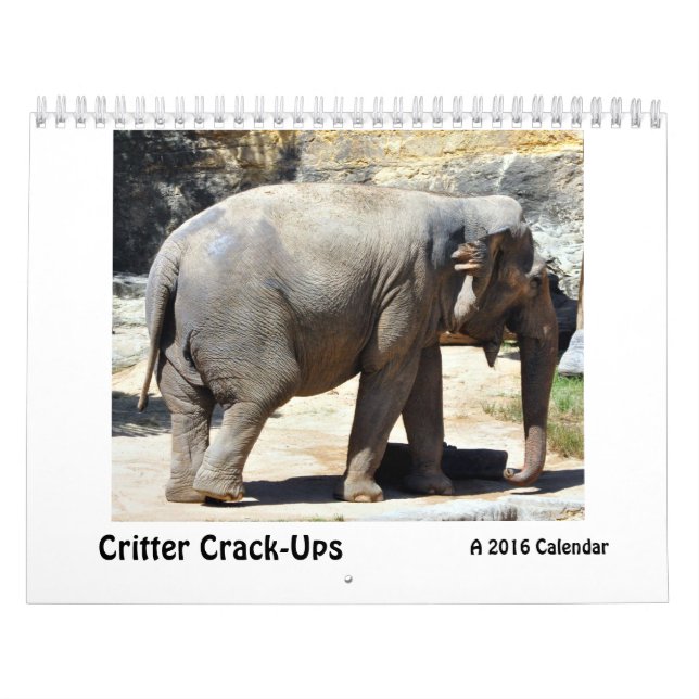 Critter Crack-Ups, a Humourous Animal Calendar (Cover)