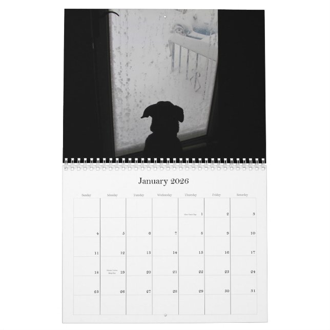 Critters 2012 ~ calendar (Jan 2026)