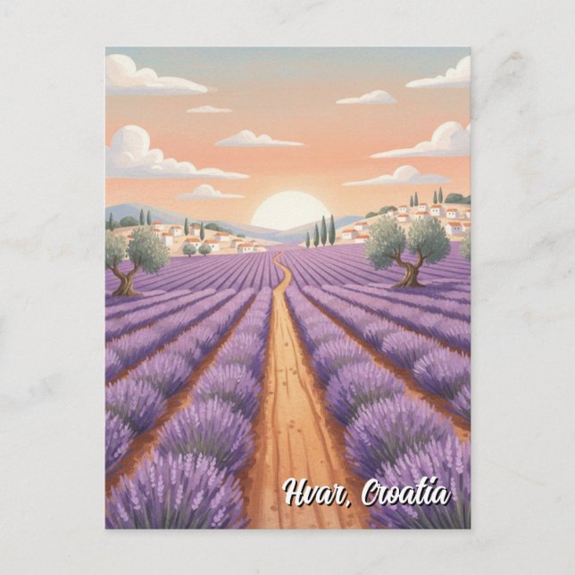 Croatia Hvar Lavendar Fields Postcard (Front)
