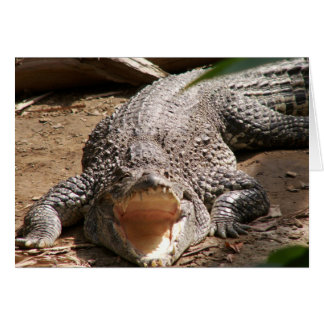 Croc Smile
