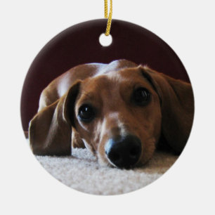 crockettsperfectpic ceramic tree decoration