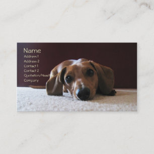 crockettsperfectpic, Name, Address 1, Address 2... Business Card