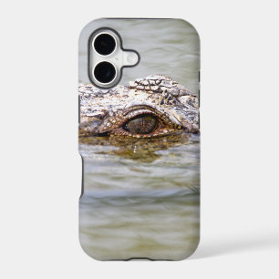 Crocodile