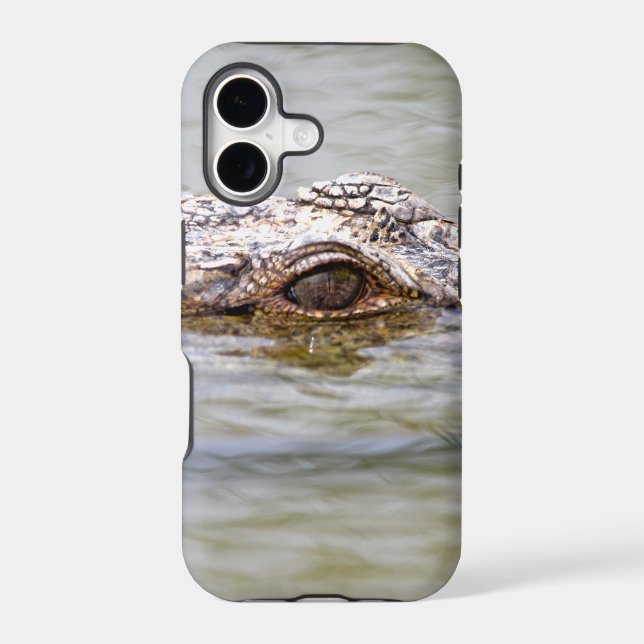 Crocodile (Back)