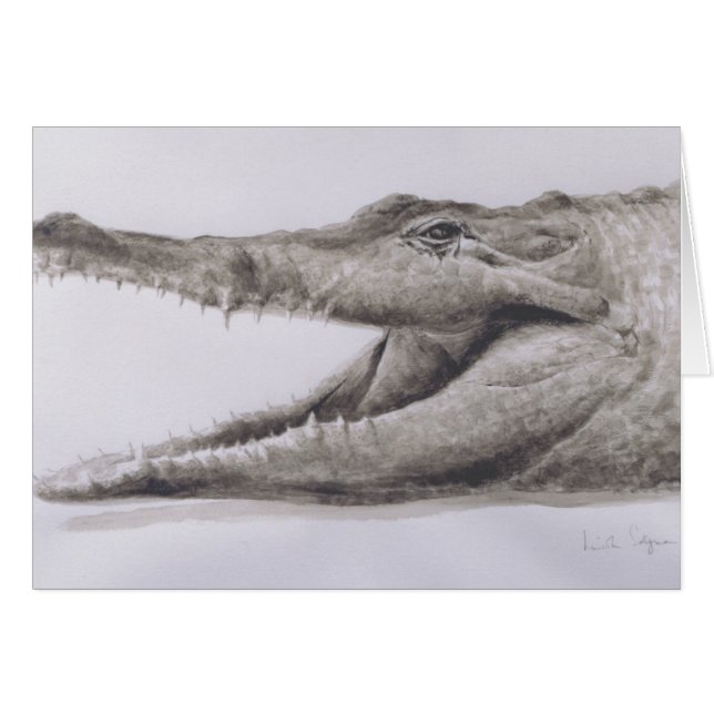 Crocodile 2005 (Front Horizontal)