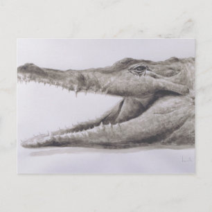 Crocodile 2005 postcard