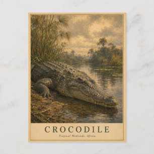 Crocodile African Wetlands VINTAGE Postcard