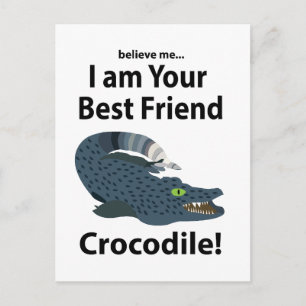 Crocodile Alligator Funny Crocodile Postcard