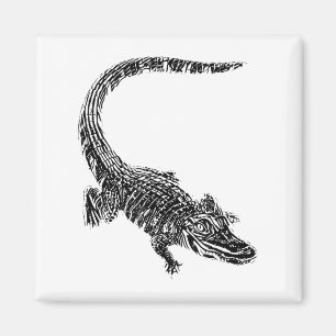 Crocodile Alligator Motif Reptil Teeth Animal Croc Magnet