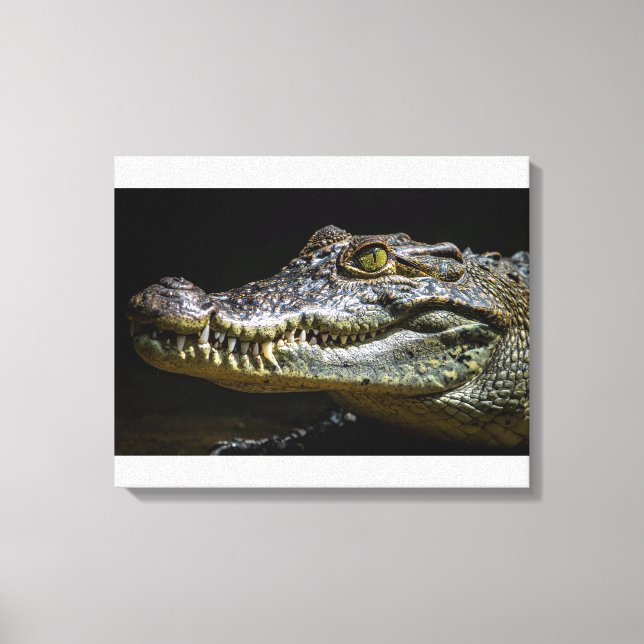 Crocodile Canvas Print (Front)