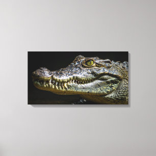 Crocodile Canvas Print