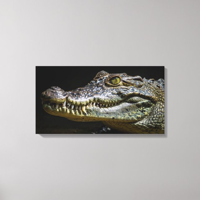 Crocodile Canvas Print (Front)