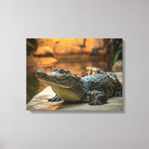 Crocodile Canvas Print