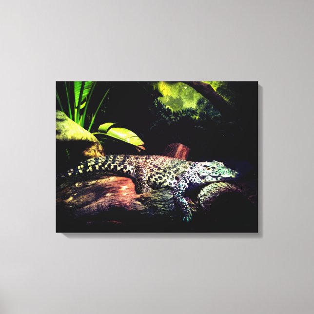 Crocodile Canvas Print (Front)