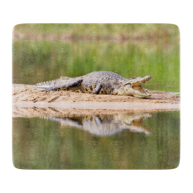 Crocodile Cutting Board (Front)