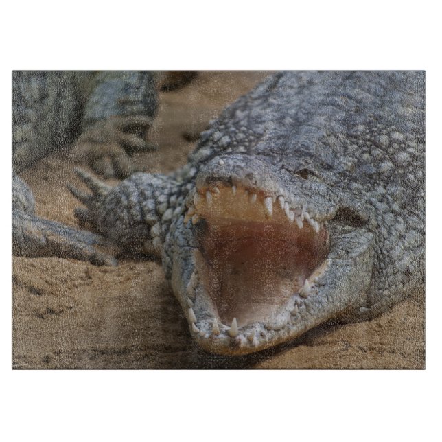 Crocodile Cutting Board (Front)