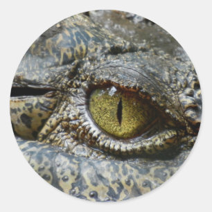 crocodile eye face animal custom personalise diy classic round sticker