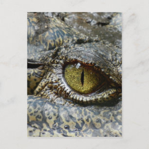 crocodile eye face animal custom personalise diy postcard
