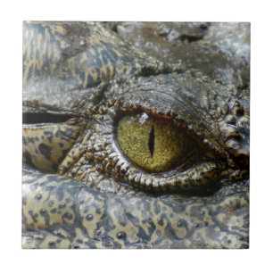 crocodile eye face animal custom personalise diy tile