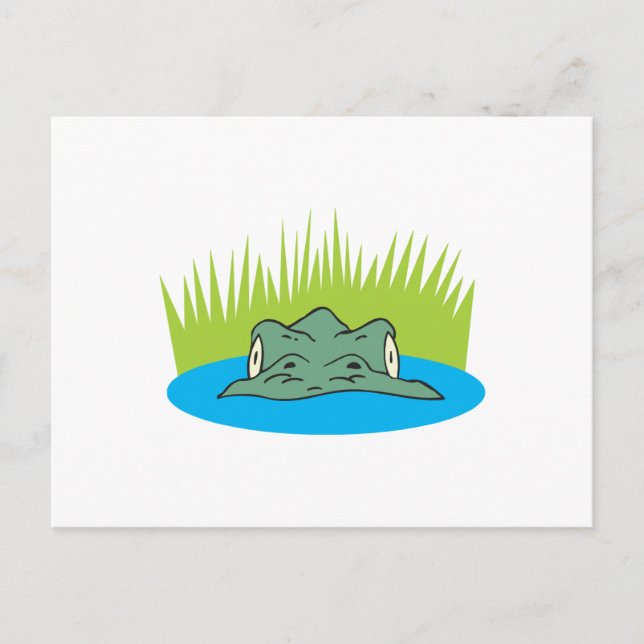 crocodile head in the water postcard (Front)