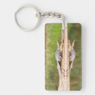 Crocodile Key Ring