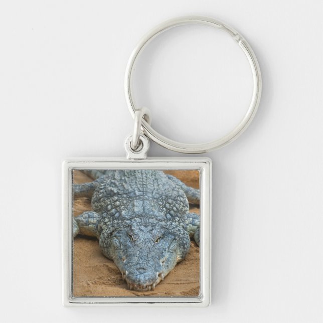 Crocodile Key Ring (Front)