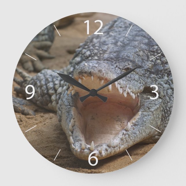 Crocodile Large Clock (Front)