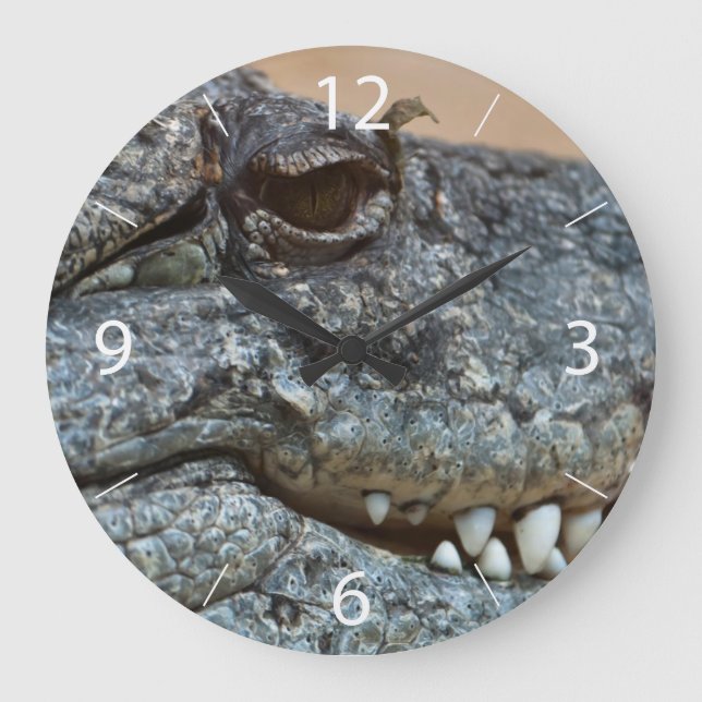 Crocodile Large Clock (Front)