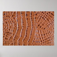 Crocodile leather textured backgroundabstract, ani