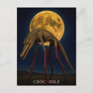 Crocodile Long Socks gothic Surreal Postcard