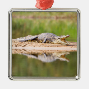 Crocodile Metal Tree Decoration