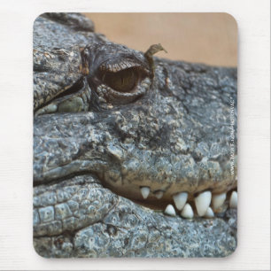 Crocodile Mouse Pad