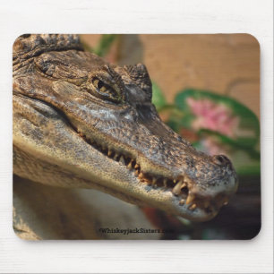 Crocodile Mouse Pad